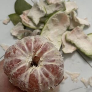 BƯỞI 柚子 POMELO QUẢ BƯỞI