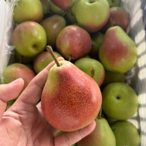 LÊ 梨 PEAR QUẢ LÊ