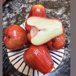 莲雾  WATER APPLE   QUẢ ROI