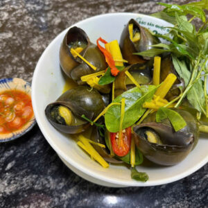 酸浆蒸田螺  STEAMED SNAILS WITH SOUR RICE ỐC NHỒI HẤP MẺ
